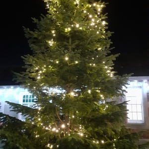 Carbon Choices and Christmas Consumption