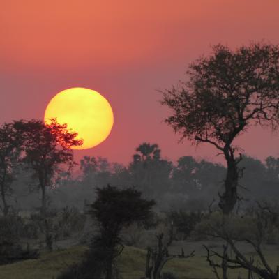 Sunset over Okavango Delta, Botswana Notext